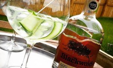 Blackwoods Gin