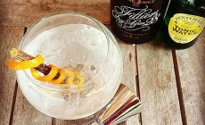 Filliers Dry Gin 28