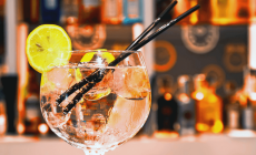 Gin Portugal