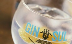 Gin Sul