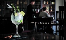 Marcas de gin